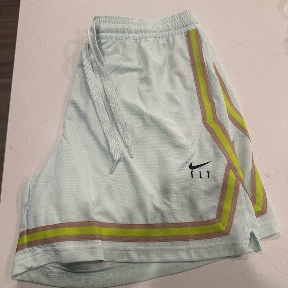 Nike Light Blue Shorts with Multicolor Stripes